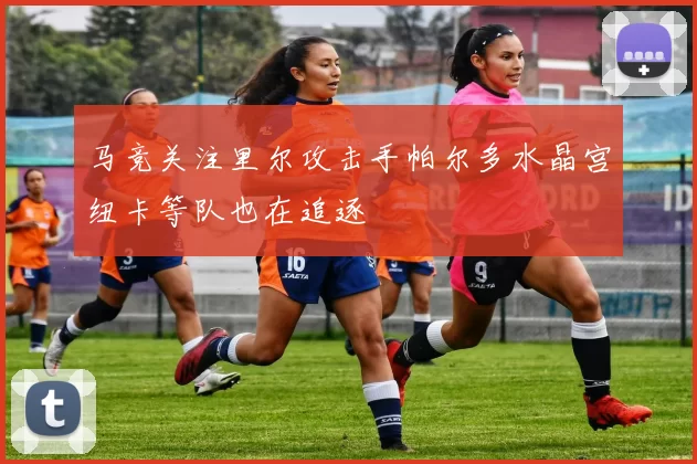 马竞关注里尔攻击手帕尔多水晶宫纽卡等队也在追逐