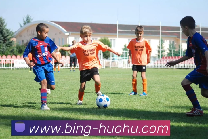 App Interface Preview