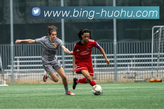 火狐体育APP 封面图